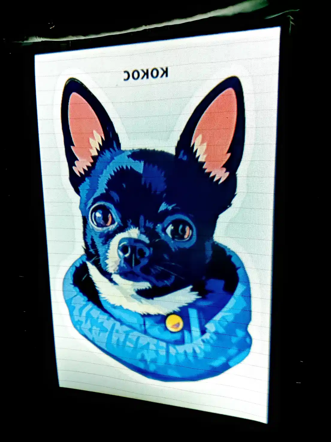 Фото этапа "Отрисовка макета на ткани" для ковра: Ковёр по фотографии на заказ — тафтинг с характером