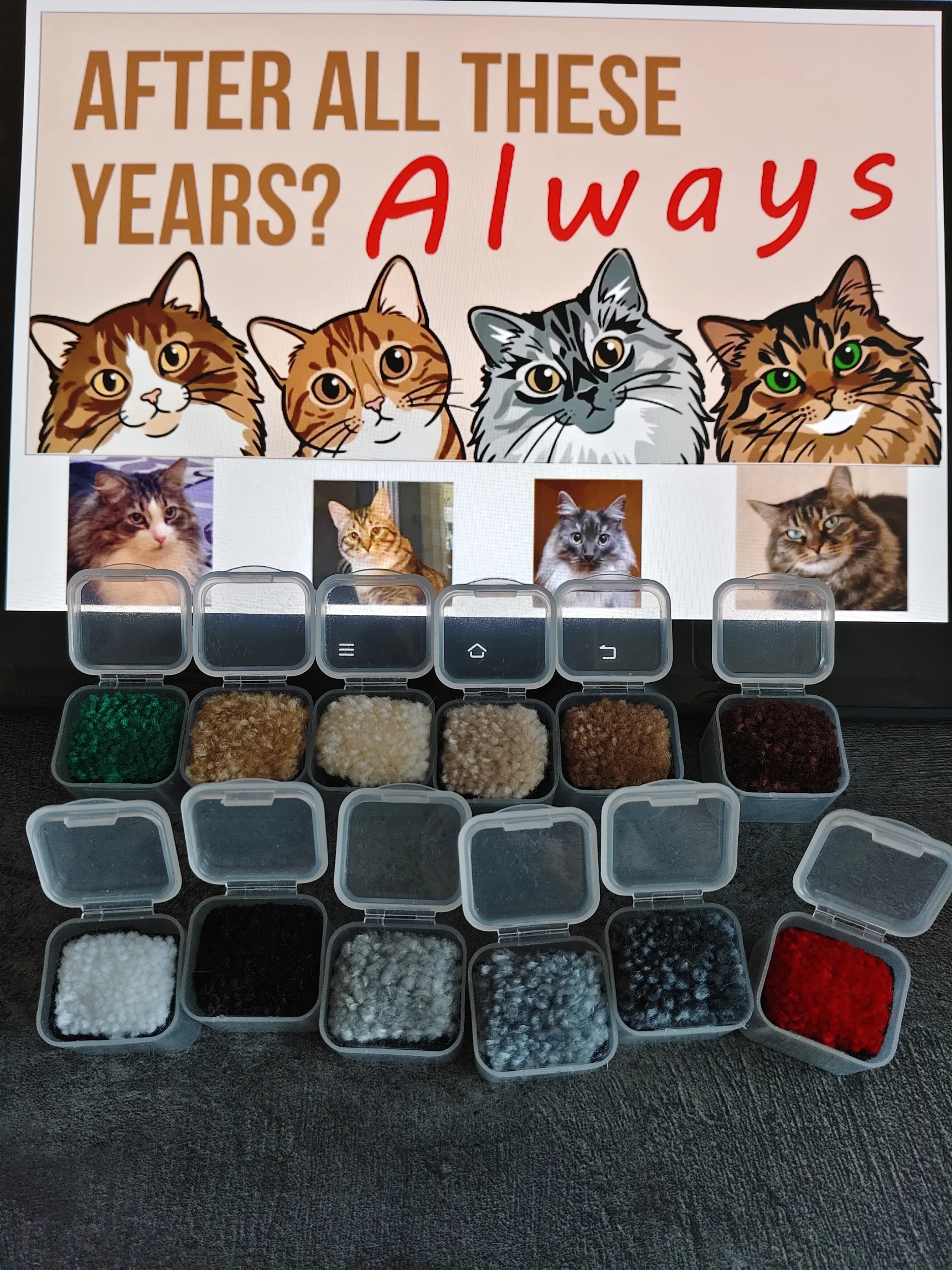 Фото этапа "Закупка материалов" для ковра: Тафтинг ковров на заказ: как создаётся премиальный ковёр и почему его выбирают