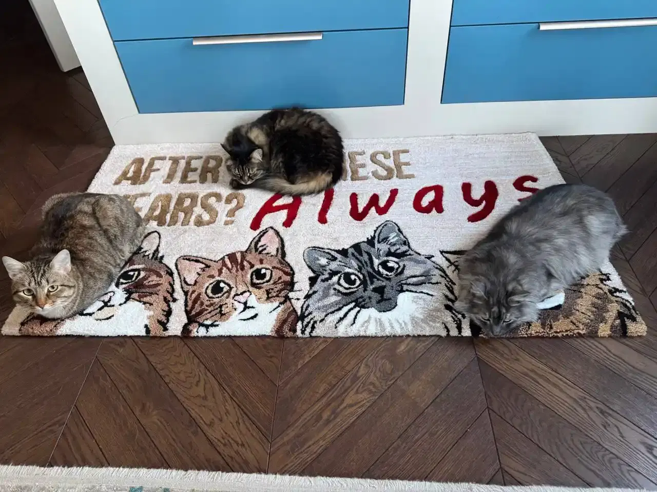 отзыв клиента Duogu